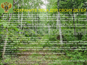 Хабаровская межрайонная природоохранная прокуратура
