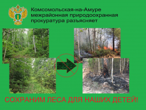 Хабаровская межрайонная природоохранная прокуратура