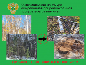 Хабаровская межрайонная природоохранная прокуратура